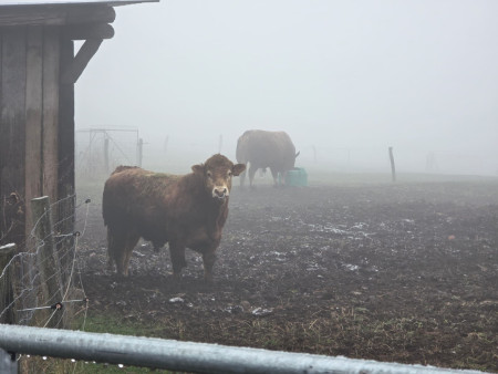 Náramně jsme si to užili!